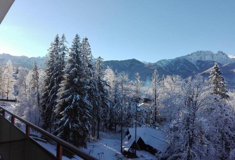 Номер Стандарт, Geovita Zakopane