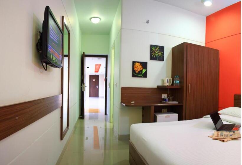 Номер Стандарт, Ginger  Tirupur