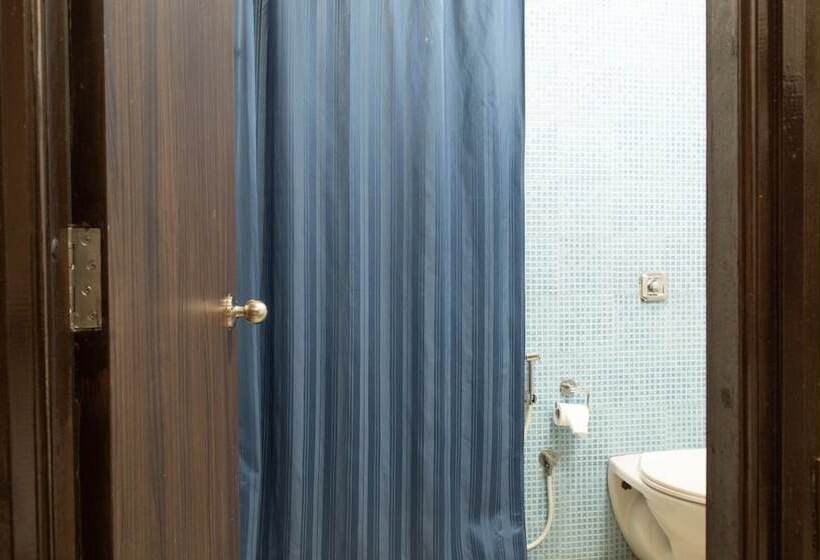Номер Стандарт, Ginger  Tirupur