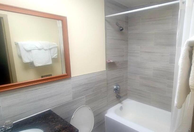 غرفة قياسية مزوَّدة بجاكوزي, Jets Motor Inn