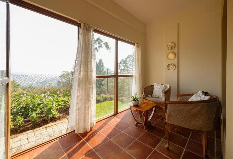 Quarto Estandar com Vistas, Sherlock