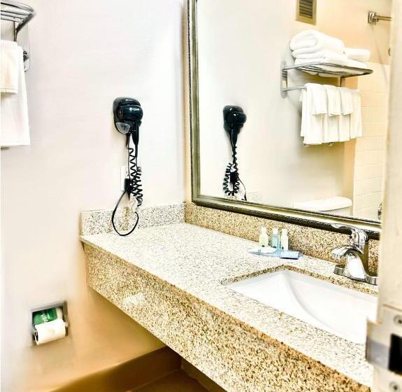 스탠다드 룸, Quality Inn Fort Worth   Downtown East