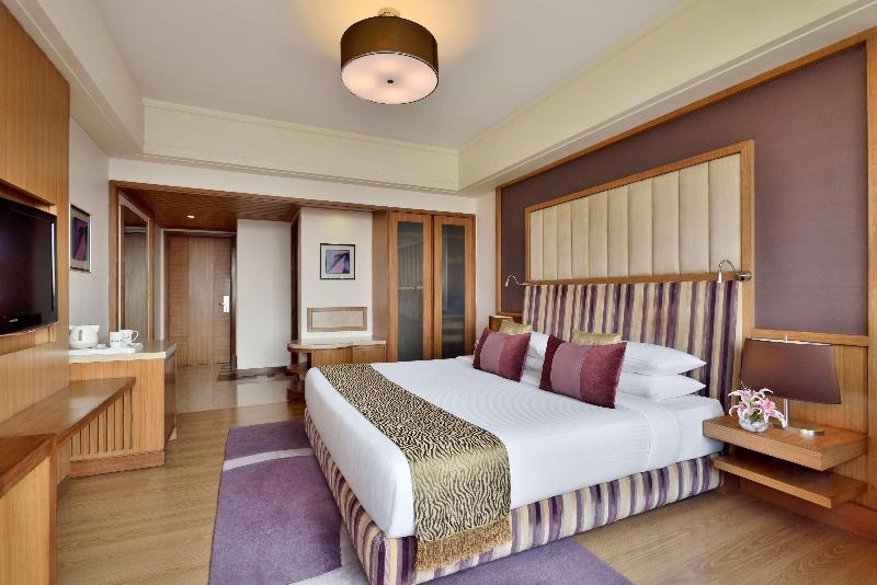 豪华房间, Radisson Blu Hotel, Indore