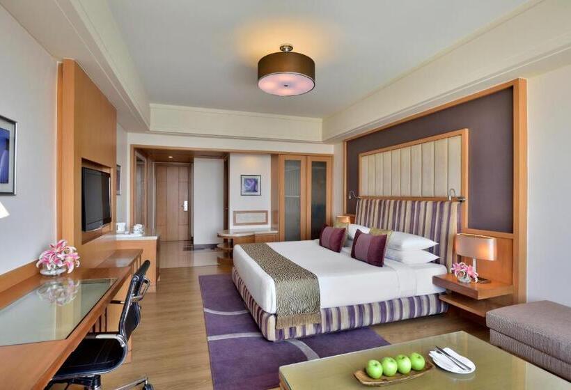豪华房间, Radisson Blu Hotel, Indore