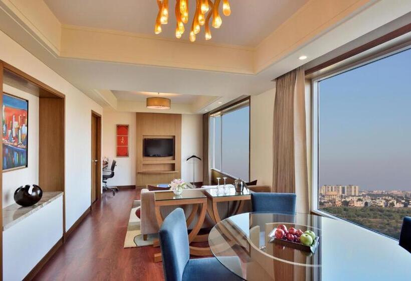 套房, Radisson Blu Hotel, Indore