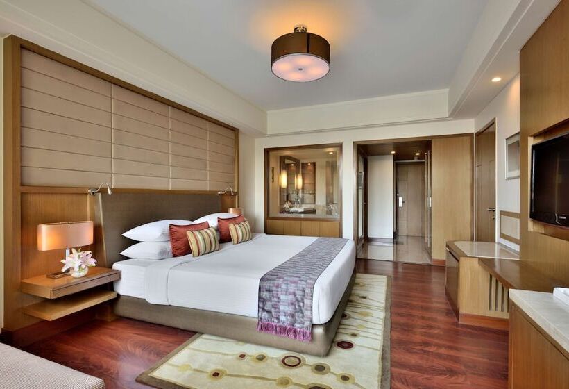 商务房间, Radisson Blu Hotel, Indore