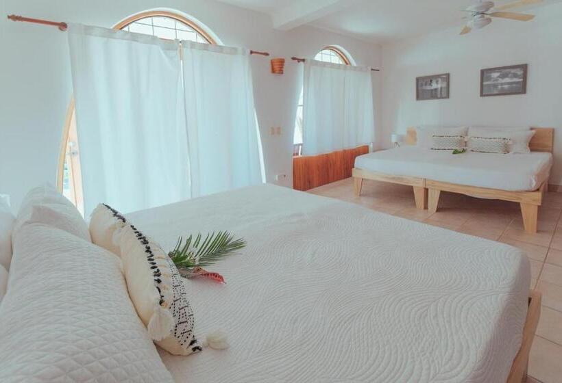 Студия Стандарт Вид на Море, Casas Kismet