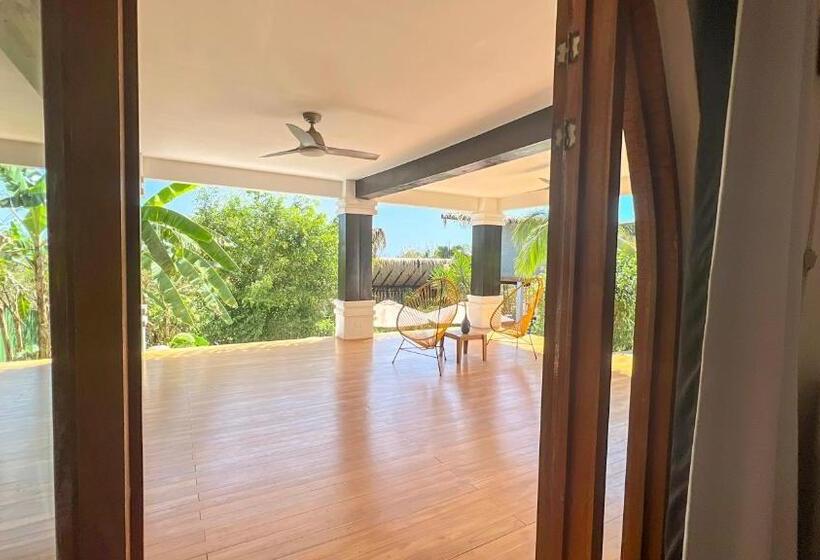 Студия Стандарт, Casas Kismet