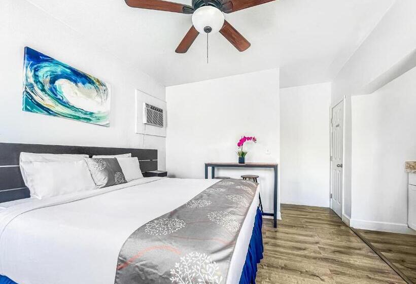 스탠다드 스튜디오 바다 전망, Hollywood Beach Hotels