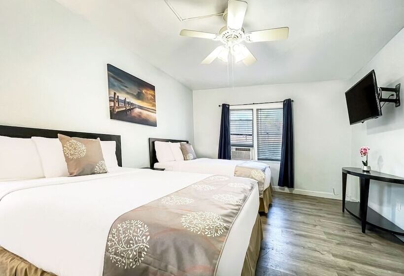 Quarto Superior, Hollywood Beach Hotels