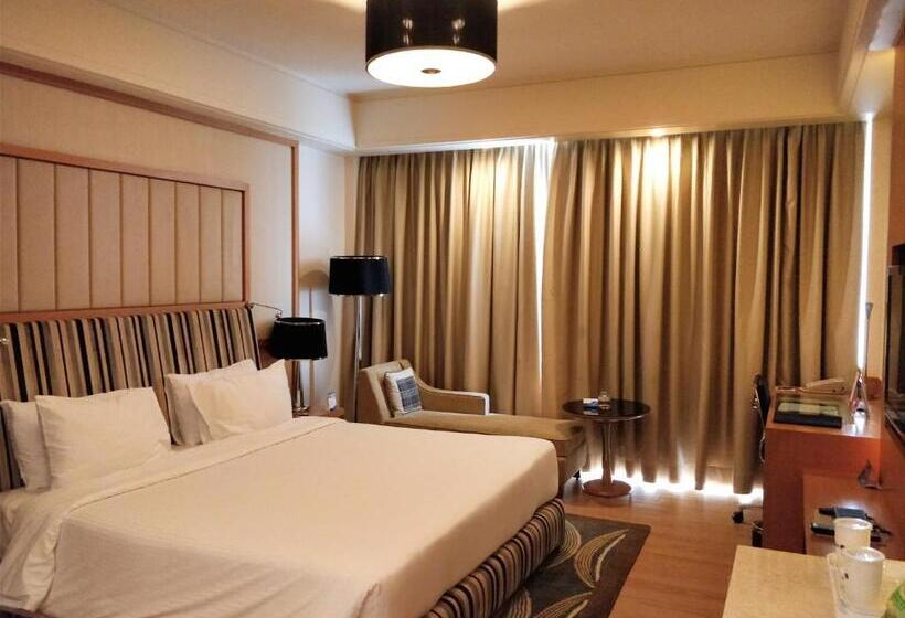高级大房间, Radisson Blu Hotel, Nagpur