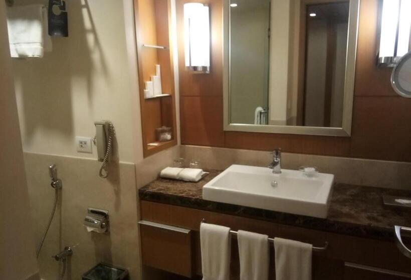 高级大房间, Radisson Blu Hotel, Nagpur
