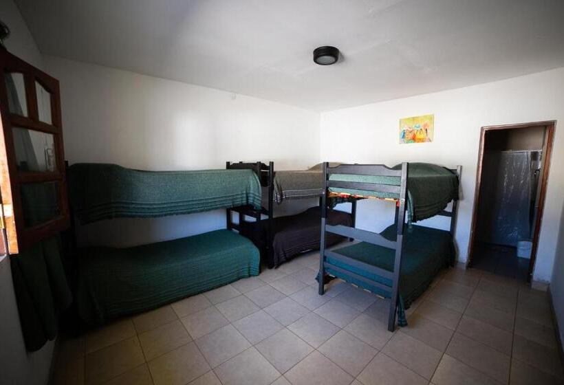 تختخواب در اتاق مشترک, Huaka Hostel