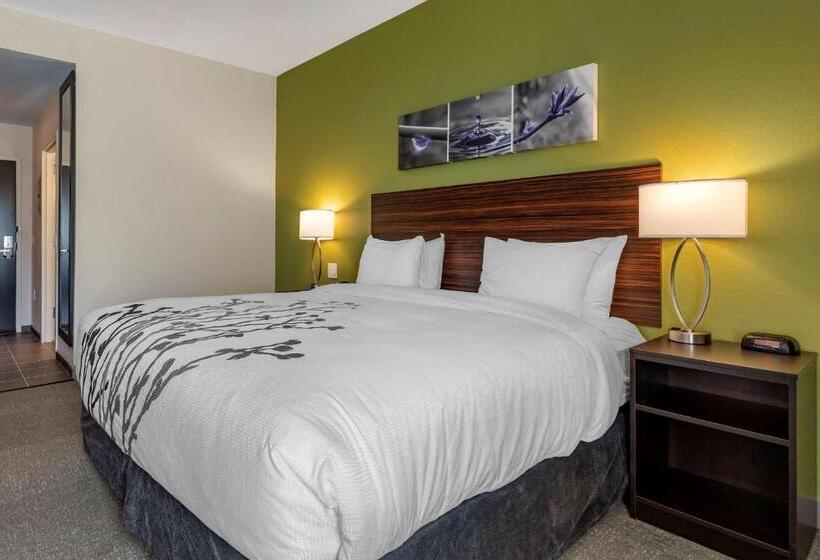 חדר סטנדרט עם מיטת קינג, Sleep Inn & Suites