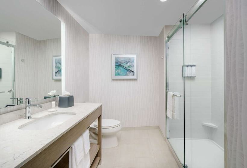 Номер Стандарт Двуспальная Кровать с Видом, Hyatt Place Panama City Beach   Beachfront