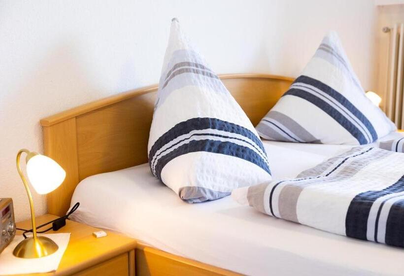 Номер Стандарт с Балконом, Pension Am Hardausee