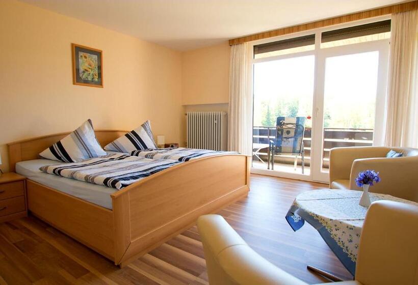 اتاق استاندارد با بالکن, Pension Am Hardausee