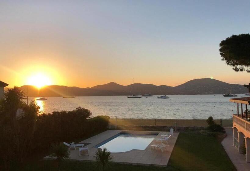 풀장 전망 디럭스 룸, Villa Playa Del Sol   B2