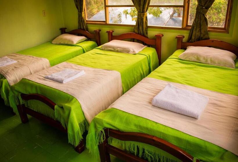 Номер Стандарт Трехместный, Miramonte Hostal