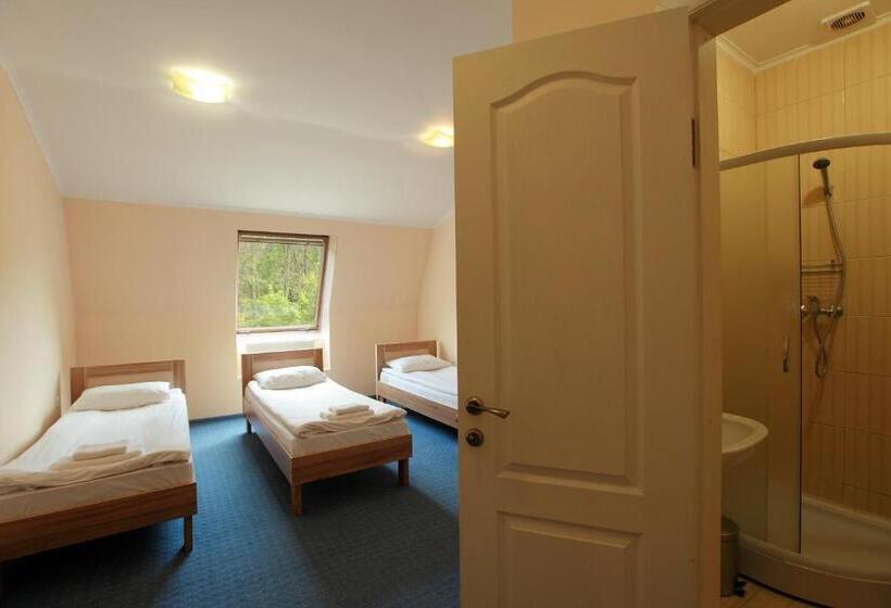 غرفة قياسية ثلاثية, Budget Hotel Ekotel