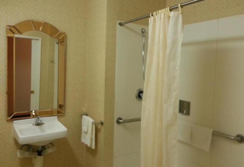 스탠다드 룸 킹사이즈 침대, Americas Best Value Inn Westmorland