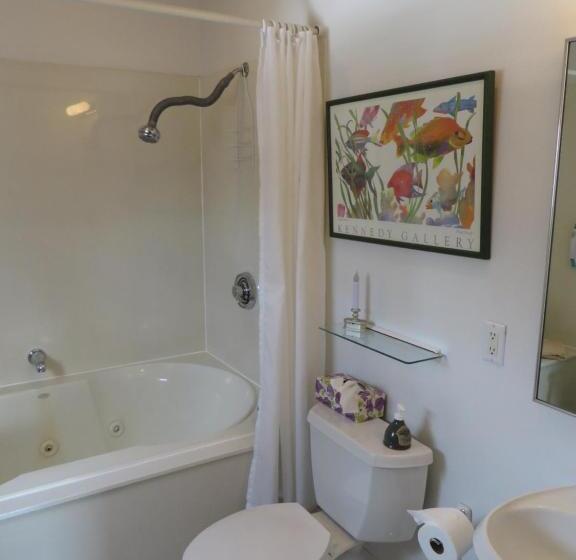 Номер Стандарт с Гидромассажем, Market Street Inn