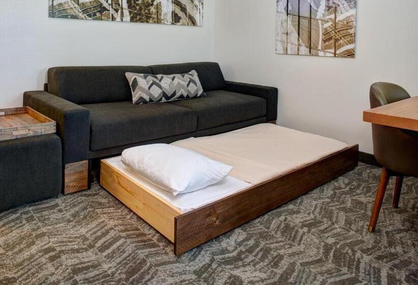 Студио Стандарт Кровать Кинг, Springhill Suites By Marriott Saginaw
