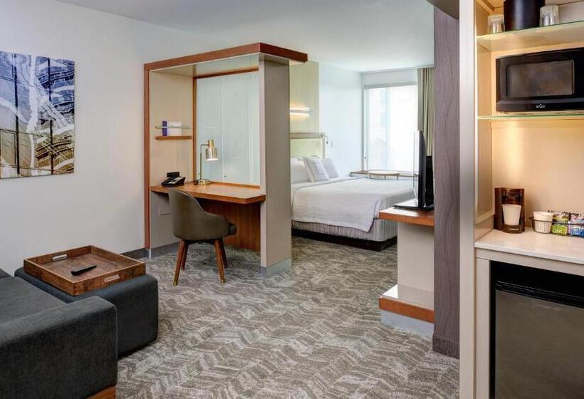 Студио Стандарт Кровать Кинг, Springhill Suites By Marriott Saginaw