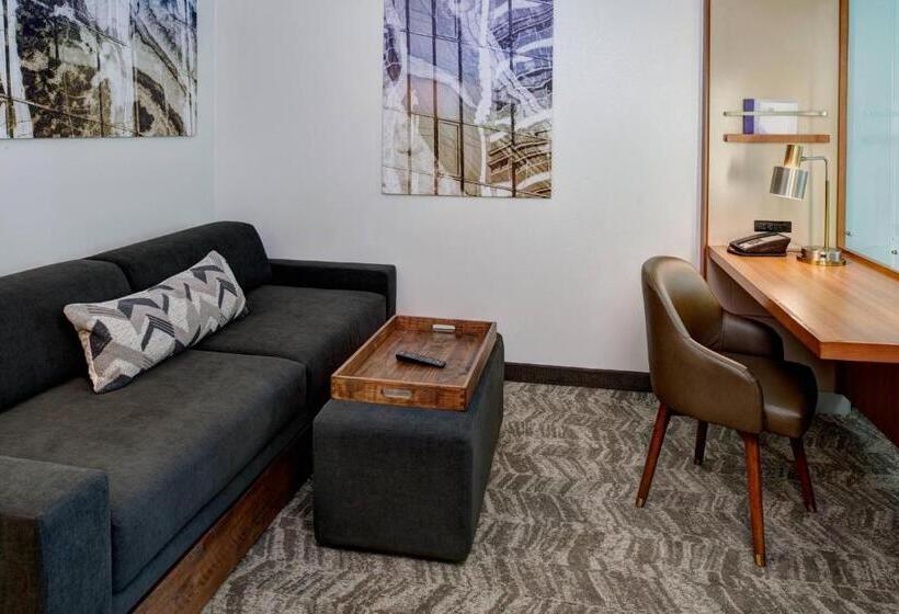 Студия Стандарт, Springhill Suites By Marriott Saginaw