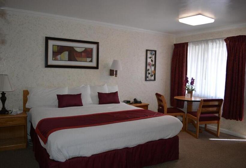Стандартный Номер Кровать Кинг, Travelers Inn