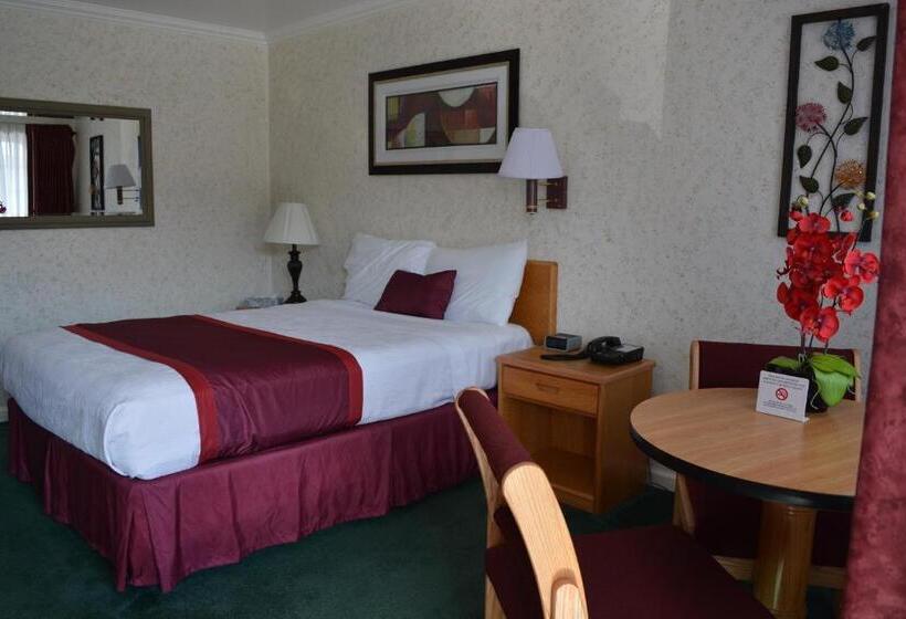 Номер Стандарт, Travelers Inn