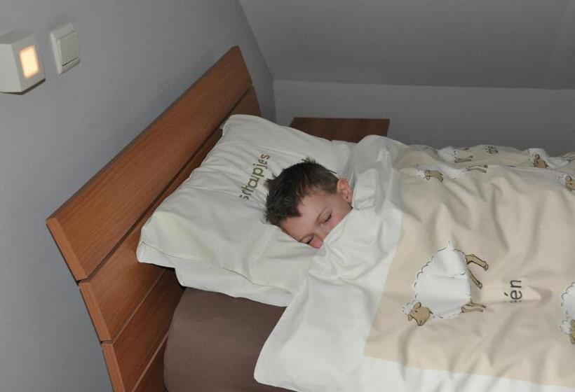 اتاق سوپریور خانوادگی, B&b Hoeve De Schapenkop