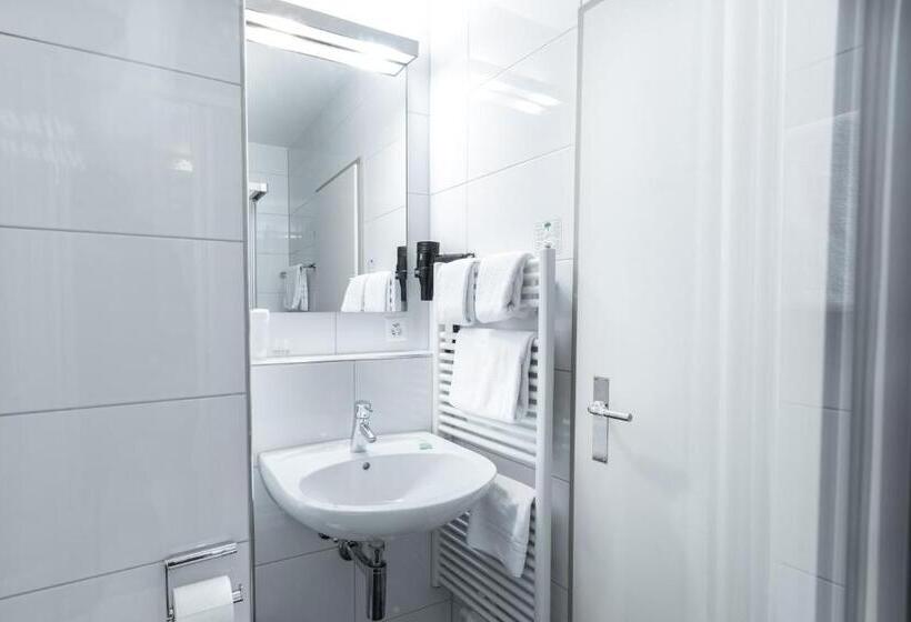 Номер Стандарт, Birsighof Basel City Center