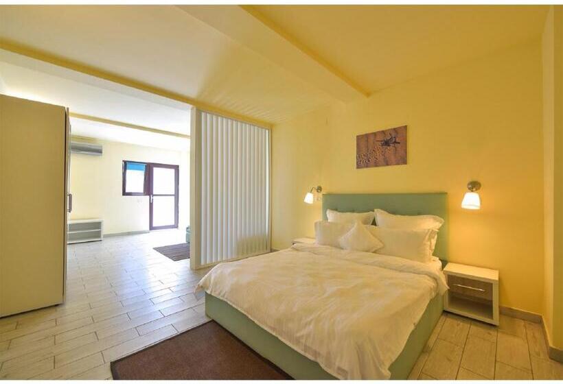 Студия Стандарт, Complex Mediteranean Mamaia