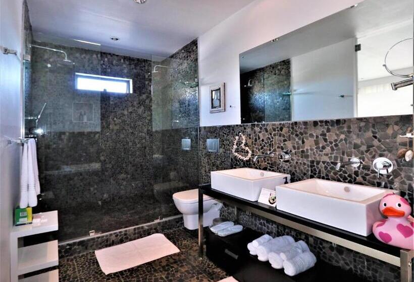 اتاق لوکس با تراس, Dysart Boutique Hotel   Solar Power