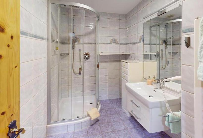 Номер Стандарт с Балконом, Pension Haid