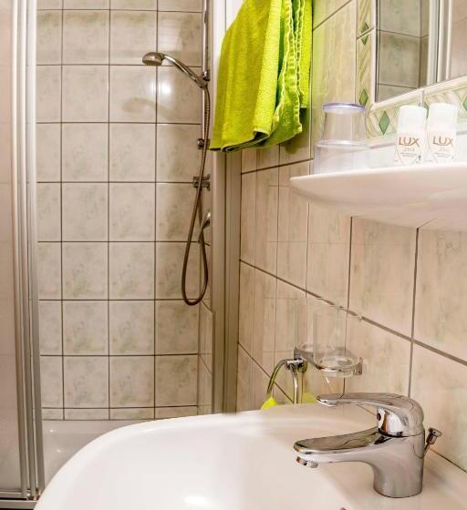 Апартаменты 3 Спальни, Almhof Reithof Pitztal