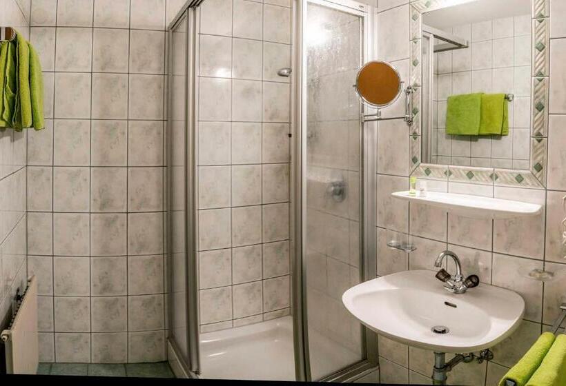 Апартаменты 1 Спальня, Almhof Reithof Pitztal