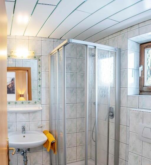 Апартаменты 3 Спальни, Almhof Reithof Pitztal