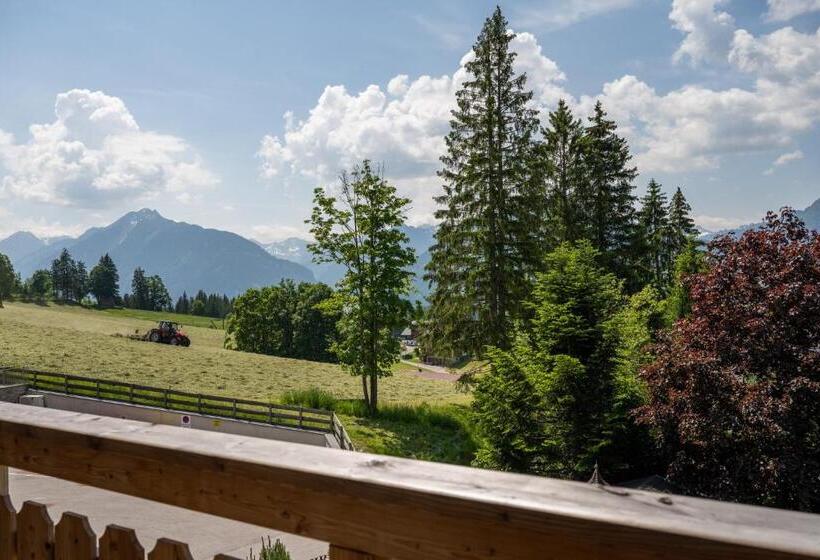 Апартаменты Deluxe 1 Спальня, Alpin Residenz Dachsteinperle