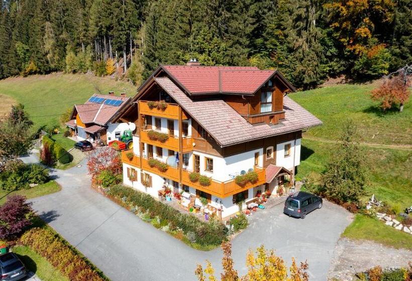 Апартаменты 1 Спальня с Видом, Berghotel Presslauer