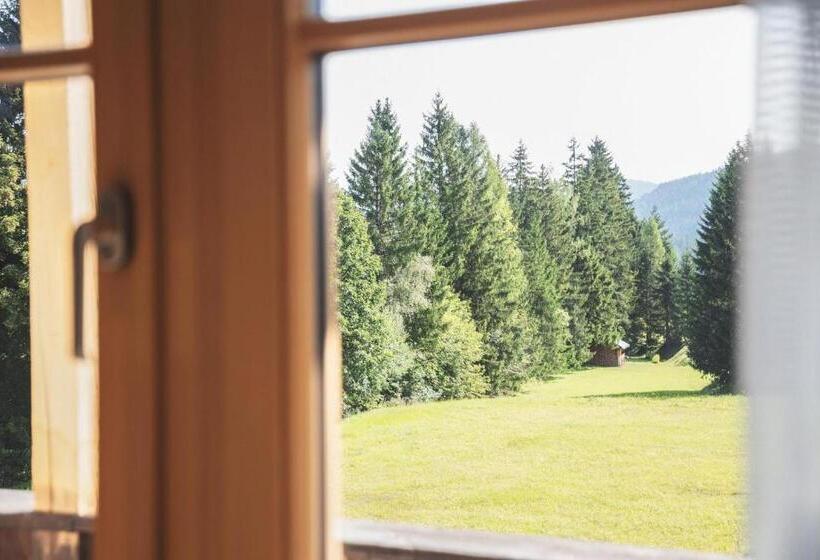 Полулюкс с Балконом, Bergidyll & Hotel Trofana