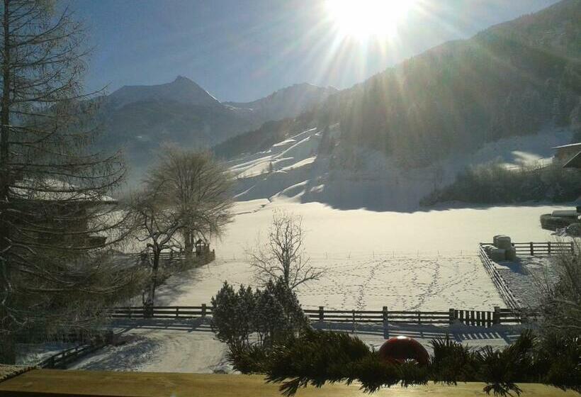1 Bedroom Apartment Mountain View, Zittrauerhof   Urlaub Am Bauernhof Gastein