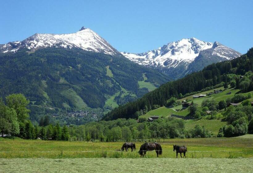 1 Bedroom Apartment Mountain View, Zittrauerhof   Urlaub Am Bauernhof Gastein