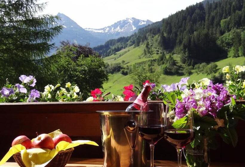 1 Bedroom Apartment Mountain View, Zittrauerhof   Urlaub Am Bauernhof Gastein
