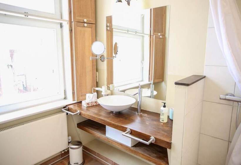 Номер Superior Одноместный, Altstadthotel Twardokus
