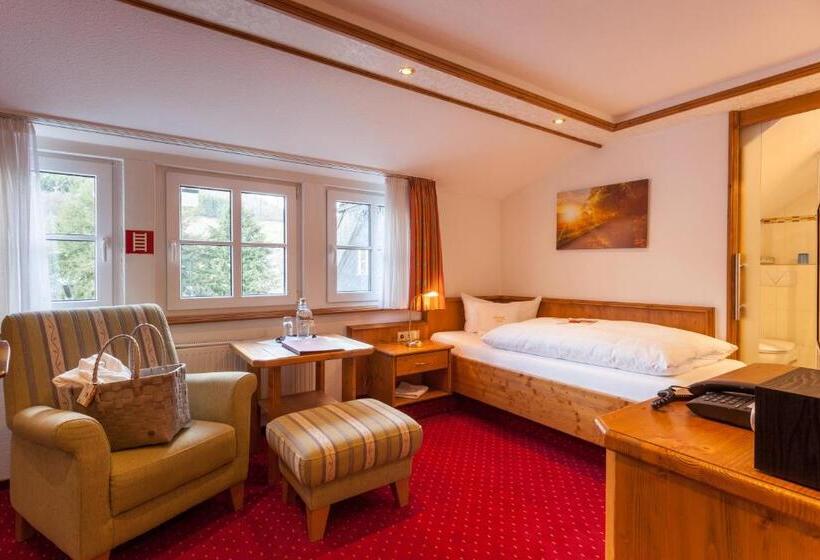 标准单人间, Landhotel Voss Im Talvital