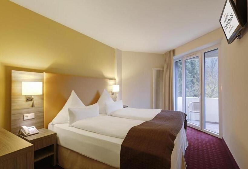 Люкс, Parkhotel Cup Vitalis