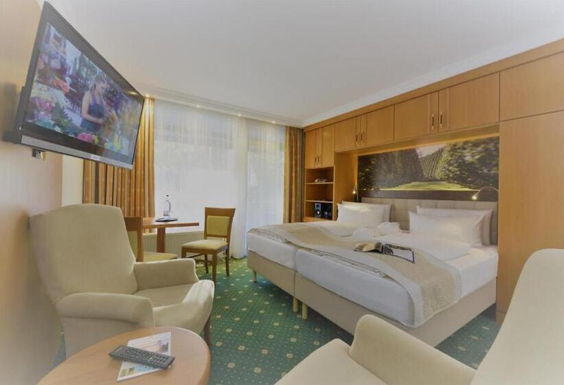 اتاق سوپریور, Schweizer Hof Thermal Und Vital Resort