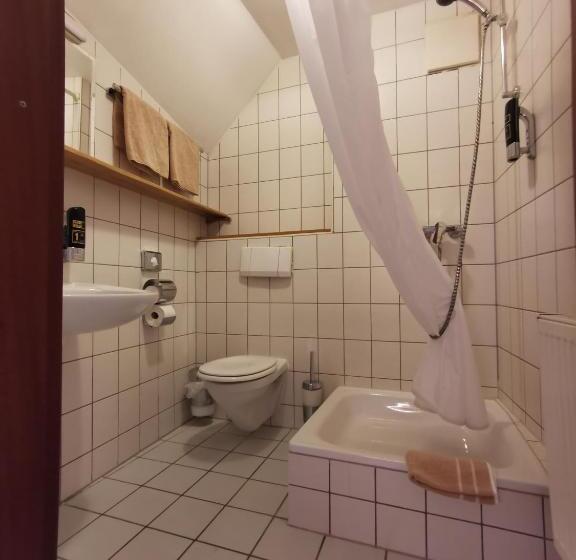 Одноместный Номер Executive, Gasthaus & Hotel Drei Lilien